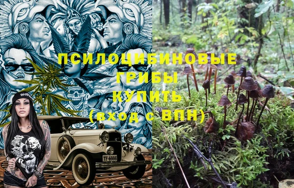 прущий лед Валуйки