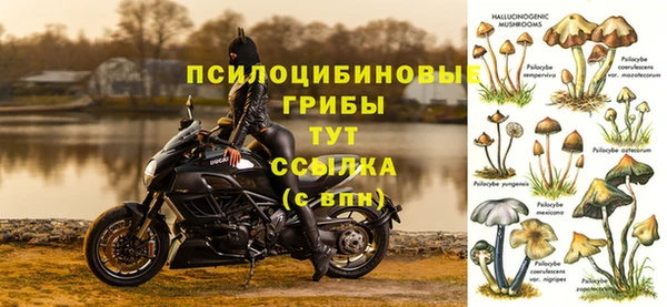 первитин Алзамай