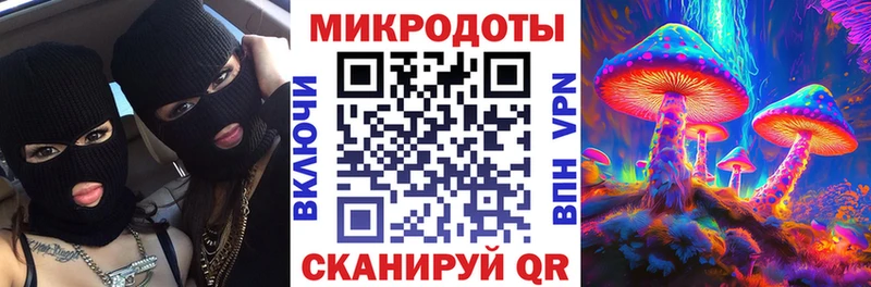 Псилоцибиновые грибы Psilocybe  Далматово 